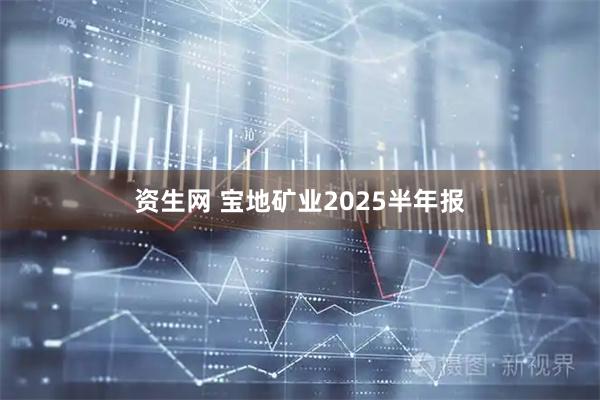 资生网 宝地矿业2025半年报