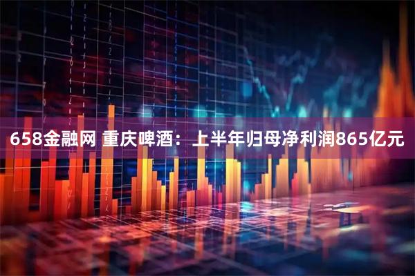 658金融网 重庆啤酒：上半年归母净利润865亿元