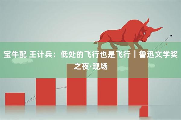 宝牛配 王计兵：低处的飞行也是飞行｜鲁迅文学奖之夜·现场